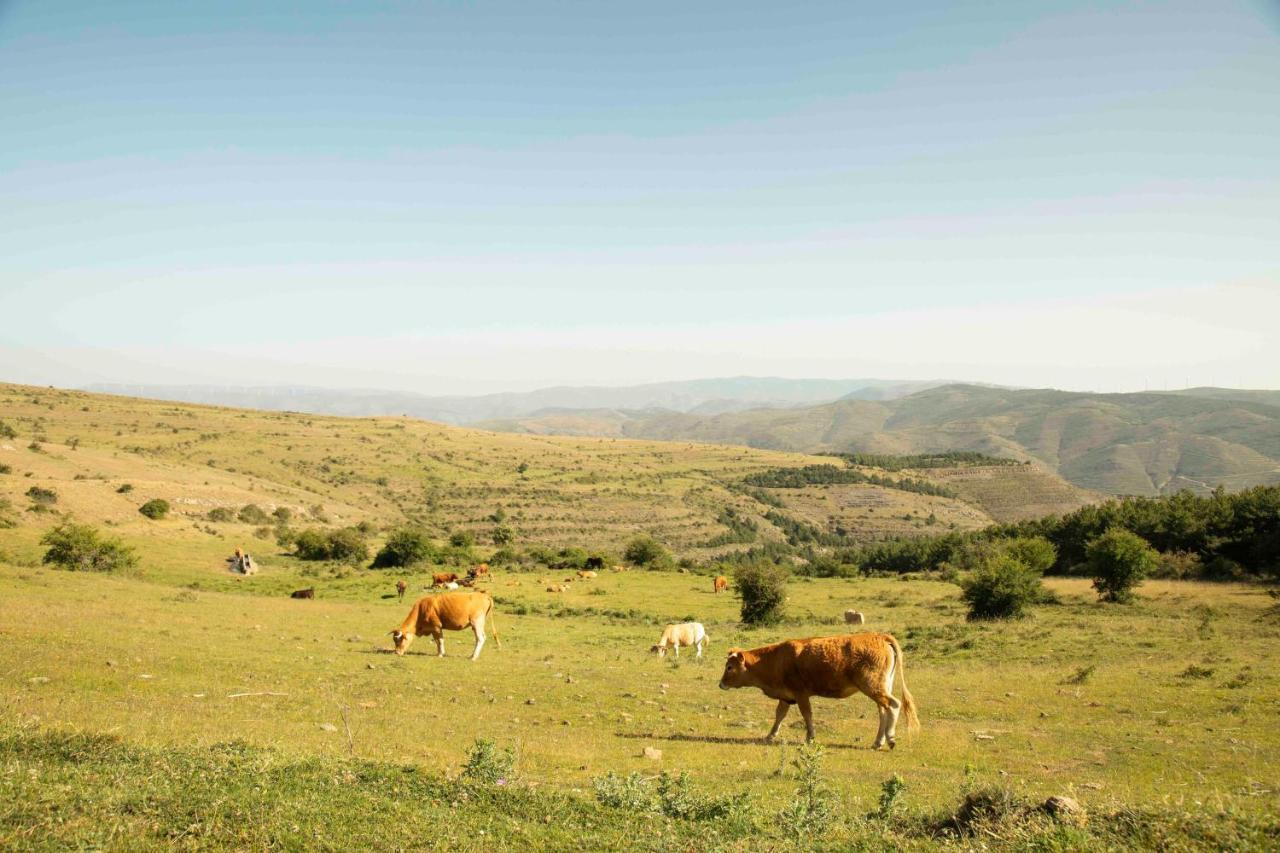 Гостевой дом Casa Rural El Huerto De La Fragua Энсисо Экстерьер фото