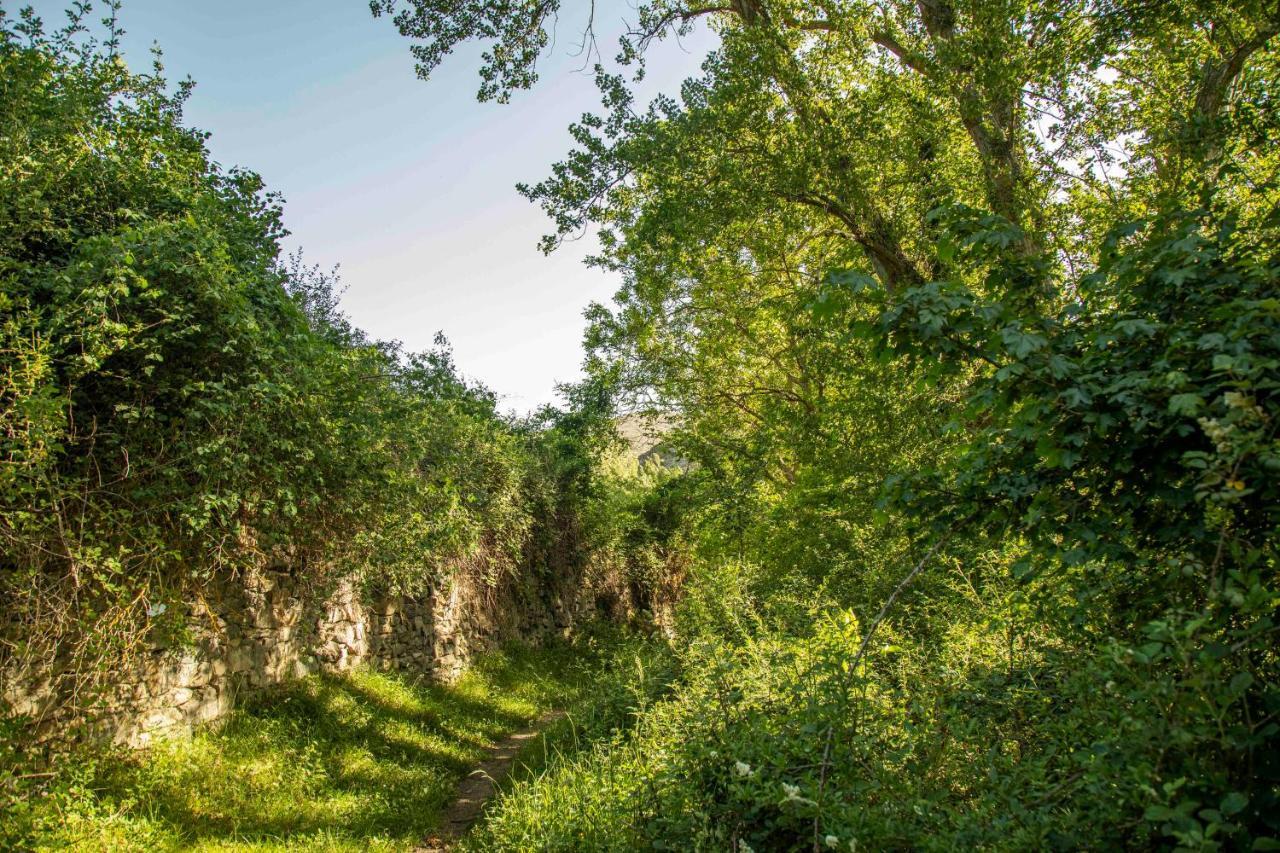 Гостевой дом Casa Rural El Huerto De La Fragua Энсисо Экстерьер фото